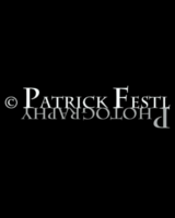 Patrick Festl Vorschaubild Webdesign