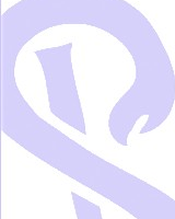 ZVK Nordverbund Vorschaubild Webdesign
